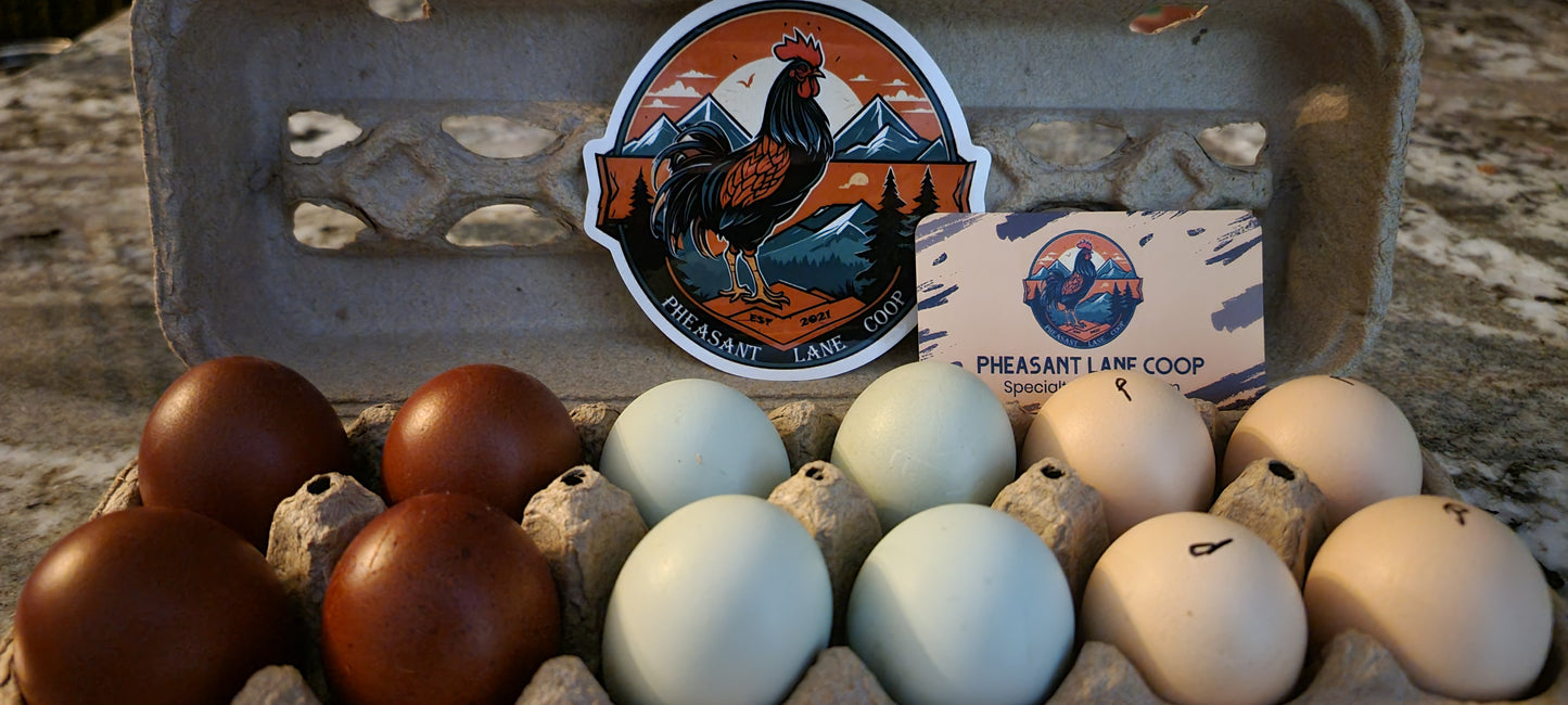 Mixed Dozen Hatching Eggs